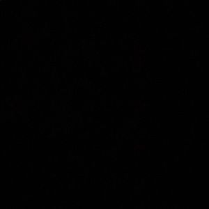 Meet your Posher, Henry